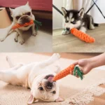 Durable Braided Bite Resistant Chew Toy - Image 3