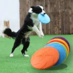 Pet Silicone Discs Training Game Frisbeed Toy - Image 2