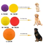 Pet Silicone Discs Training Game Frisbeed Toy - Image 4