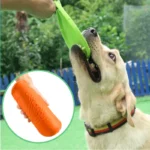 Pet Silicone Discs Training Game Frisbeed Toy - Image 5