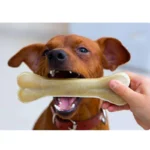 Cowhide Bone Molar Teeth Chew Toy - Image 6