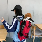 Adjustable Outdoor Double Shoulder Pet Backpack