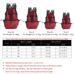 Adjustable Outdoor Double Shoulder Pet Backpack - Image 4