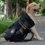 Adjustable Outdoor Double Shoulder Pet Backpack - Image 5
