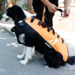 Airborne Bag Backpack Walking Stretcher with Straps for Disabled Dog - Image 2