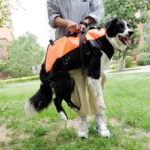 Airborne Bag Backpack Walking Stretcher with Straps for Disabled Dog