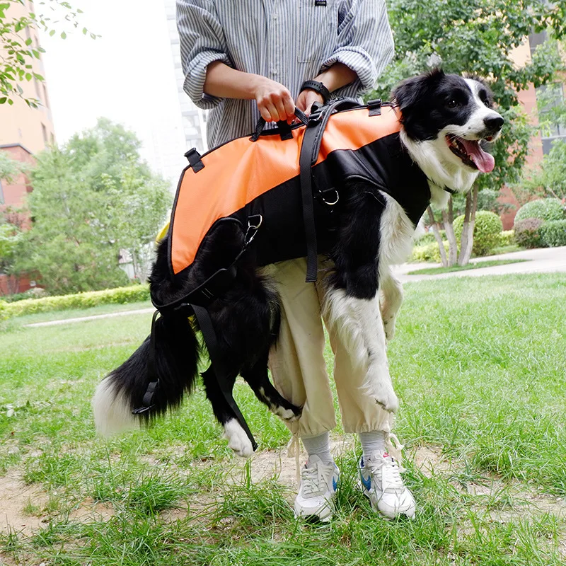 Pet-Outdoor-Travel-Carrying-Bags-Airborne-Bag-Backpack-Walking-Stretcher-with-Straps-for-Disabled-Large-Dog-5 Airborne Bag Backpack Walking Stretcher with Straps for Disabled Dog - Image 1