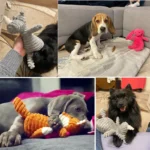 Animals Shape Bite Resistant Squeaky Toy - Image 6