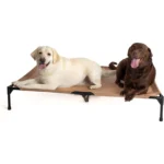 Elevated Outdoor Dog Cot with Washable Breathable Mesh