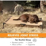 Elevated Outdoor Dog Cot with Washable Breathable Mesh - Image 3