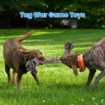The Ultra-Durable and Indestructible 2 Pack of Large Breed Dog Rope Toys - Image 2
