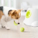Automatic Tennis Ball Launcher with 3 balls Transmitter - Image 3