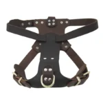 Side by Side Leather Harness