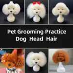 Pet Head Hair Fake Dog Head Model - Image 6
