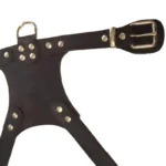 Side by Side Leather Harness - Image 3