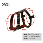 Adjustable Brown Leather Dog Harness - Image 6