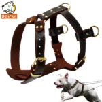 Adjustable Brown Leather Dog Harness - Image 2