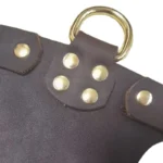 Side by Side Leather Harness - Image 4