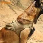 Tactical Dog Harness for Training and Outdoor Use - Image 2