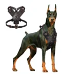 Durable Real Leather Harness