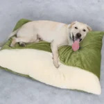 Eco-Friendly Nylon Dog Bed & Sofa Cushion - Image 4