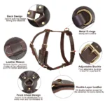 Adjustable Leather Dog Harness - Image 3