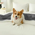 Waterproof Coral Fleece Dog Blanket - Image 5