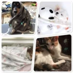 Warm and Soft Pet Sleeping Mat Blanket for Dogs and Cats - Image 6