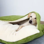 Eco-Friendly Nylon Dog Bed & Sofa Cushion