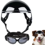 Dog and Cat Sun Protection Helmet - Image 2
