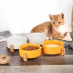 Ceramic Pet Bowl Dish with Wood Stand - Image 5
