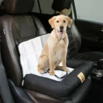 Waterproof Dog Car Seat Bed with Removable Pad