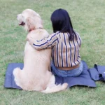 Foldable Waterproof Pet Blanket Mat - Image 2