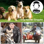 Dog and Cat Sun Protection Helmet - Image 4