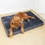 Super Soft Removable Pet Dog Bed Mat - Image 4