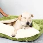 Large Removable Cover Pet Bed for Dogs - Image 4
