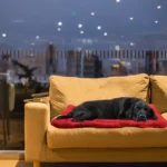 Outdoor Waterproof Dog Bed Blanket - Image 4