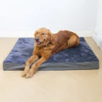 Super Soft Removable Pet Dog Bed Mat - Image 3
