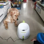 Dog Pet Toys Tennis Launcher Automatic Throwing Machine - Image 6