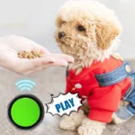 Recordable Pet Training Buttons – Interactive Talking Toys for Dogs - Image 5