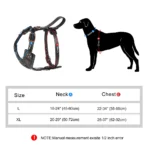 Durable Real Leather Harness - Image 6