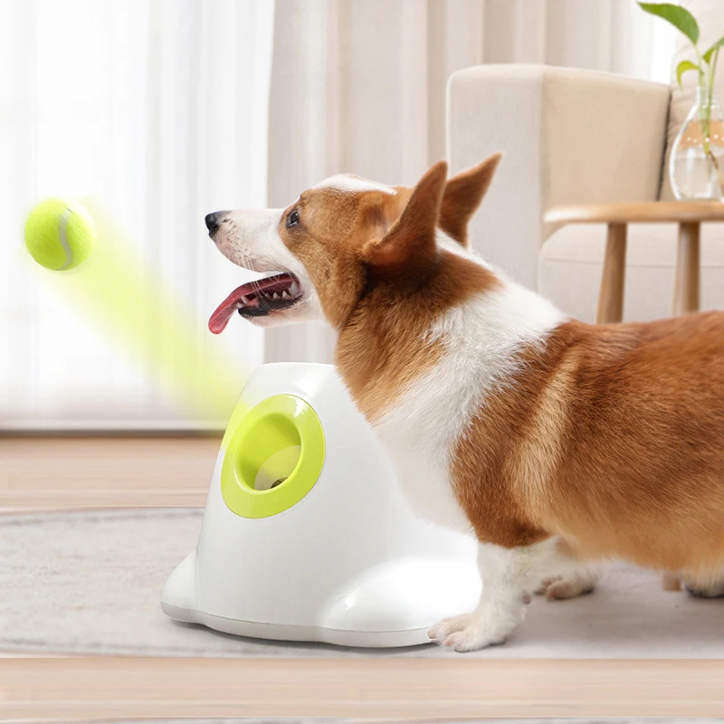 kf-Sd63cf216d2be4a31bde502fd7d6587075-Dog-Pet-Toys-Tennis-Launcher-Automatic-Throwing-Machine-Pet-Ball-Throw-Device-3-6-9m-Section Dog Pet Toys Tennis Launcher Automatic Throwing Machine - Image 1