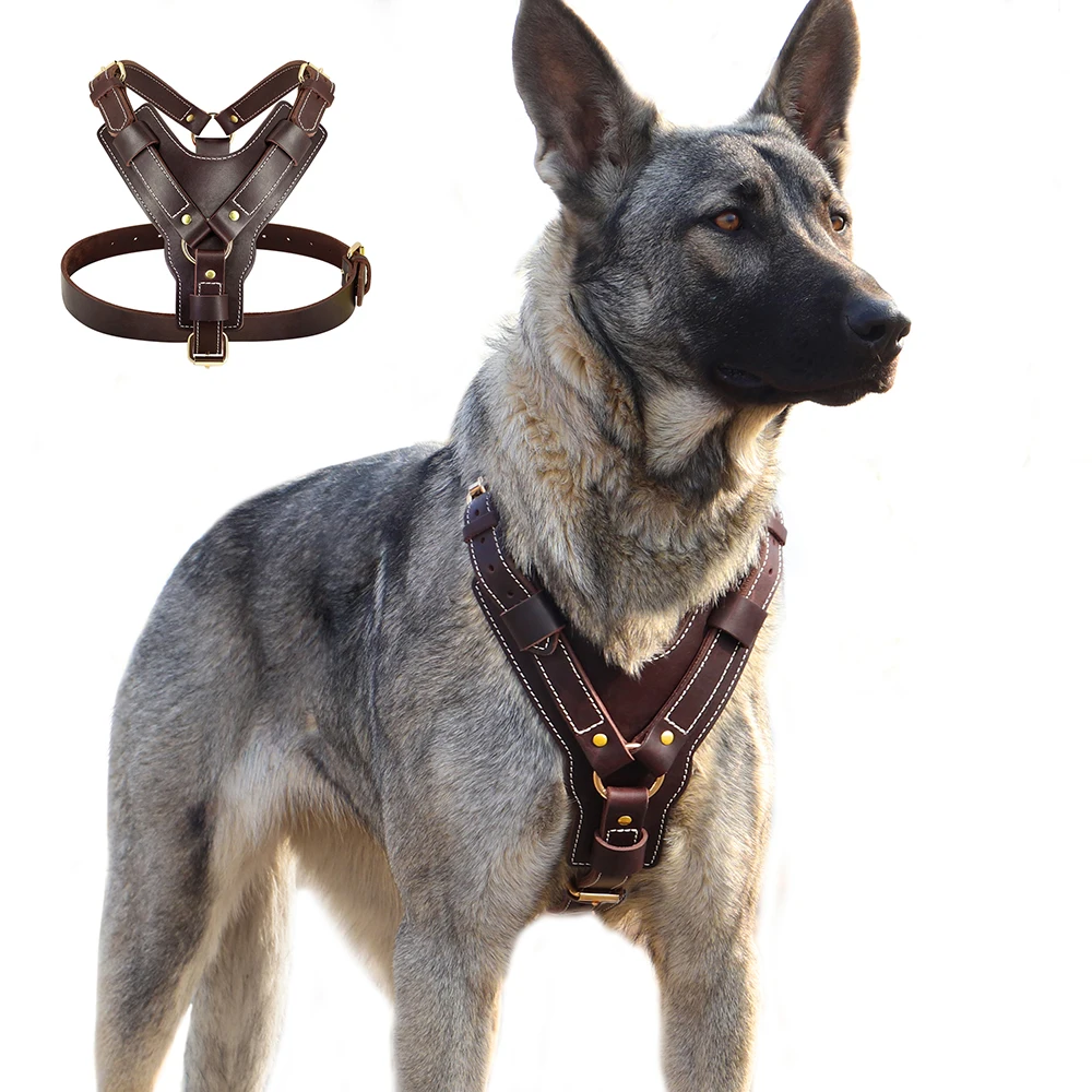 kf-Se775fc37c150473c9d832bbcb2448ea7w-Durable-Genuine-Leather-Dog-Harness-Large-Dog-Harness-Vest-Adjustable-Strap-for-German-Shepherd-Labrador-Husky Adjustable Leather Dog Harness - Image 1