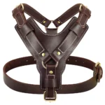 Adjustable Leather Dog Harness - Image 2