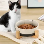 Ceramic Pet Bowl Dish with Wood Stand - Image 4