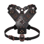 Durable Real Leather Harness - Image 2