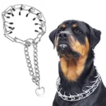 Detachable Prong Rubber-Tipped Adjustable Training Collar