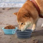 1500ML XL Collapsible Pet Bowls 2-Pack