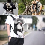 Legs Out with Adjustable Padded Carrier Backpack