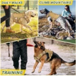 Military Elite Tactical Dog Harness Set - Image 5